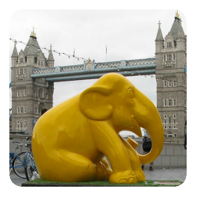 London Elephant Drums London
