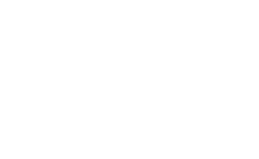 Taiko Drum